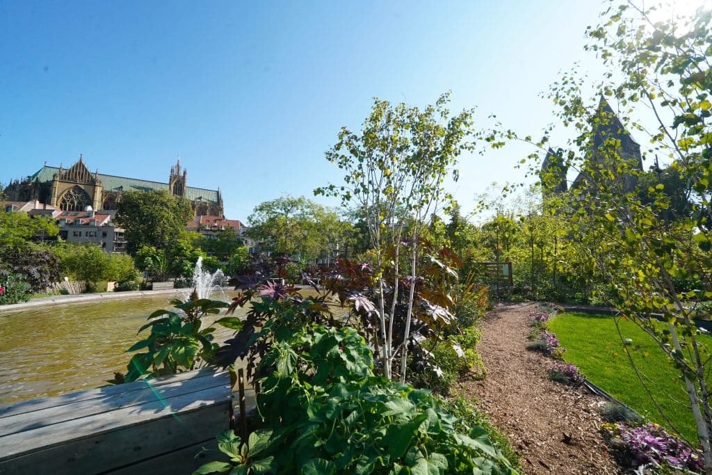 Jardins d’ombre, Jardins d’eau